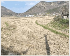  2025Ÿ��316 ��� ���׽� �ϱ� ������ ĥ���� 445-3     ����(��)���