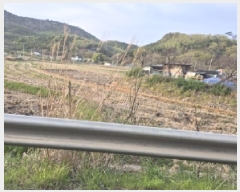  2025Ÿ��316 ��� ���׽� �ϱ� ������ ĥ���� 445-3     ����(��)���