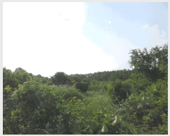  2025Ÿ��361 ��� ���׽� ���� ������ �캹�� 223     ����(��1)���