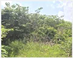  2025Ÿ��361 ��� ���׽� ���� ������ �캹�� 223     ����(��1)���