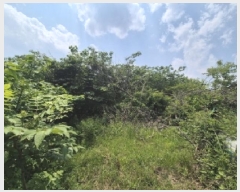  2025Ÿ��361 ��� ���׽� ���� ������ �캹�� 223     ����(��1)���