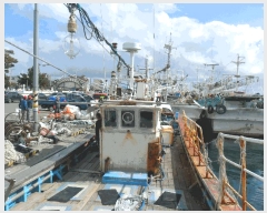  2025Ÿ491 ׽          ڰ