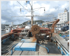  2025Ÿ491 ׽          ڰ