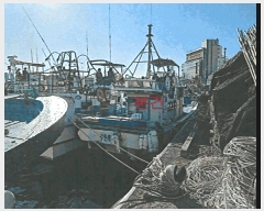  2025Ÿ��541 ���׽� ��������         ���ڰ��