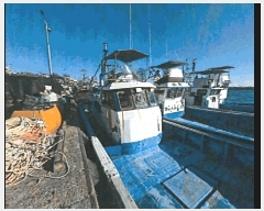  2025Ÿ��541 ���׽� ��������         ���ڰ��