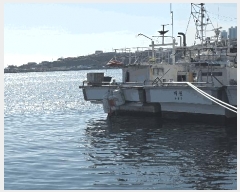  2025Ÿ��551  ���ڰ��