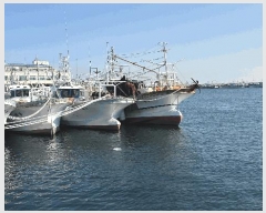  2025Ÿ��551  ���ڰ��