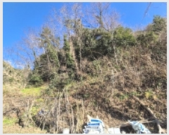  2025Ÿ��3174  �Ӿ߰��