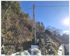  2025Ÿ��3174  �Ӿ߰��