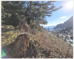  2025Ÿ��3174  �Ӿ߰��