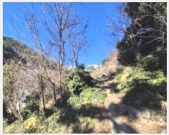  2025Ÿ��3174  �Ӿ߰��