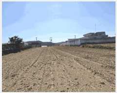  2025Ÿ��3551 ��� ���׽� ���� ȣ�̰��� ������ 383-1     ����(��1)���