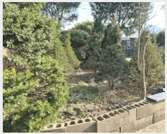  2025Ÿ��3580 ��� ���׽� ���� ��۸� ������ 94     ���ð��