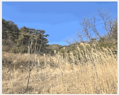  2025Ÿ��3585 ��� ���׽� ���� ��õ�� ������ ��156-2     ����(�Ӿ�)���