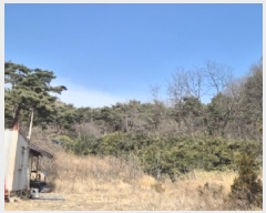  2025Ÿ��3585 ��� ���׽� ���� ��õ�� ������ ��156-2     ����(�Ӿ�)���