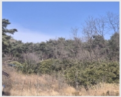  2025Ÿ��3585 ��� ���׽� ���� ��õ�� ������ ��156-2     ����(�Ӿ�)���