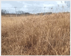  2025Ÿ��3606 ��� ���׽� ���� ���ظ� ������ 519-2     ����(��)���