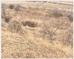  2025Ÿ��3606 ��� ���׽� ���� ���ظ� ������ 519-2     ����(��)���