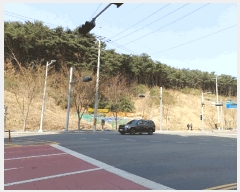  2025Ÿ��3637  �Ӿ߰��