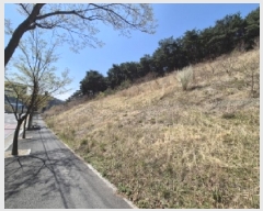  2025Ÿ��3637  �Ӿ߰��