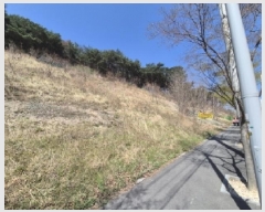  2025Ÿ��3637  �Ӿ߰��