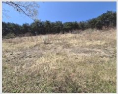  2025Ÿ��3637  �Ӿ߰��