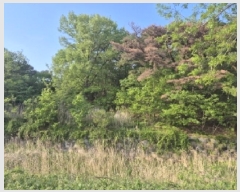  2025Ÿ��3667 ��� ���׽� �ϱ� ������ �ʰ ��70-22     ����(�Ӿ�)���