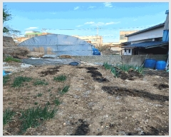  2025Ÿ��3687  �������