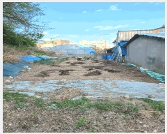  2025Ÿ��3687  �������