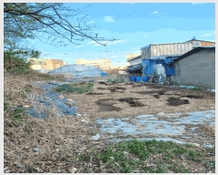  2025Ÿ��3687  �������