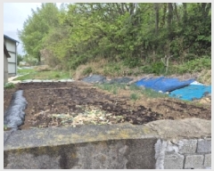  2025Ÿ��3687  �������