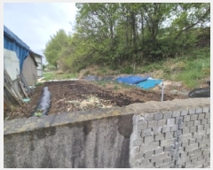  2025Ÿ��3687  �������