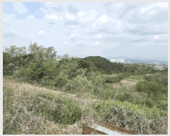  2025Ÿ��3693 ��� ���׽� �ϱ� ������ ���۸� ��206-4     ����(�Ӿ�)���