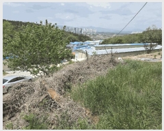  2025Ÿ��3693 ��� ���׽� �ϱ� ������ ���۸� ��206-4     ����(�Ӿ�)���