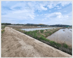  2025Ÿ��3708 ��� ���׽� �ϱ� ������ ��� 370     ����(��)���