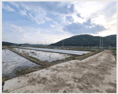  2025Ÿ��3708 ��� ���׽� �ϱ� ������ ��� 370     ����(��)���