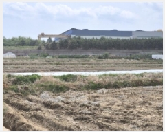  2025Ÿ��3708 ��� ���׽� �ϱ� ������ ��� 370     ����(��)���