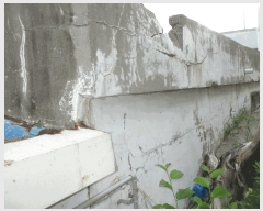  2025Ÿ��3733 ��� ���׽� �ϱ� û�ϸ� û���� 278     �ܵ�����,�����ð��