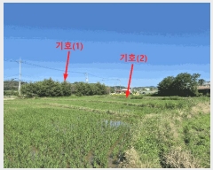  2025Ÿ��3820 ��� ���׽� ���� ��õ�� ���踮 611-9     ����(��)���