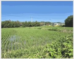  2025Ÿ��3820 ��� ���׽� ���� ��õ�� ���踮 611-9     ����(��)���