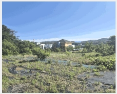  2025Ÿ��3820 ��� ���׽� ���� ��õ�� ���踮 611-9     ����(��)���