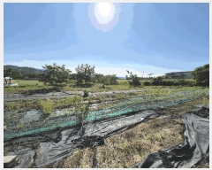  2025Ÿ��3820 ��� ���׽� ���� ��õ�� ���踮 611-9     ����(��)���