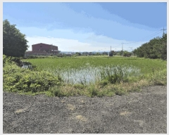  2025Ÿ��3820 ��� ���׽� ���� ��õ�� ���踮 611-9     ����(��)���