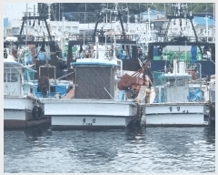  2025Ÿ��3910 ��� ���׽� ���� �������� �������� 1     ���ڰ��