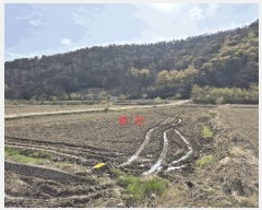  2025Ÿ898 뱸 ޼  ¸ 702      ()