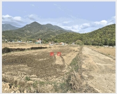  2025Ÿ898 뱸 ޼  ¸ 702      ()