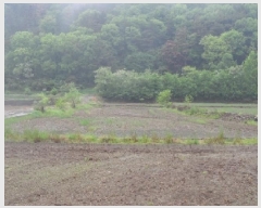  2025Ÿ898 뱸 ޼  ¸ 702      ()