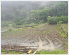  2025Ÿ898 뱸 ޼  ¸ 702      ()