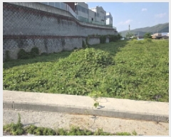  2025Ÿ959  ֱ  ϸ 419-23      ()