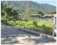  2025Ÿ��1495 ��� ���ֱ� ������ �� 943-3      ����(����)���